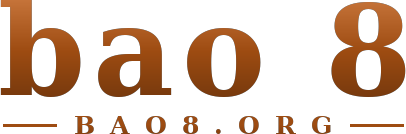 bao 8 logo
